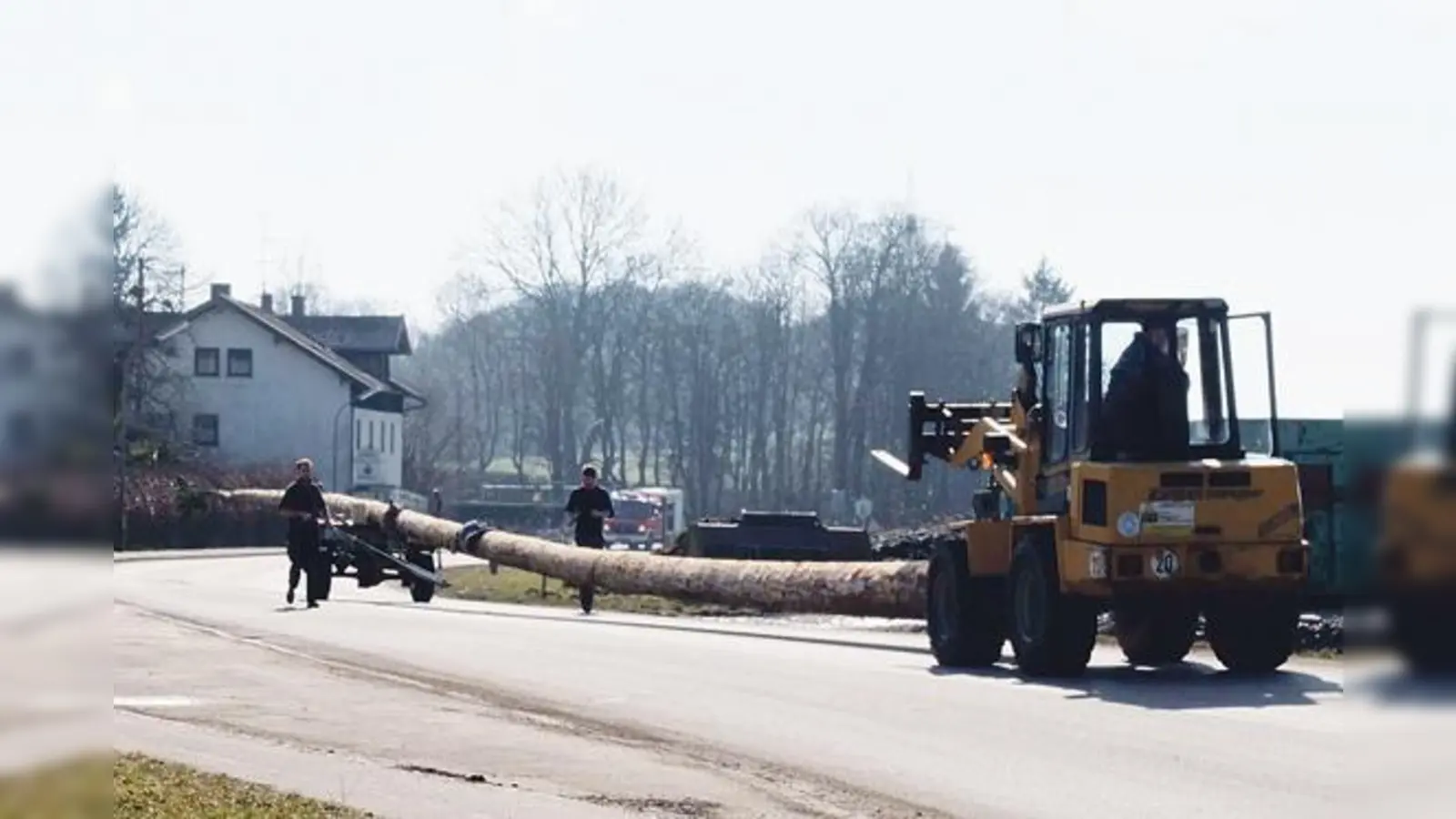 Am Samstag wurde der Maibaum in Oberelkofen an seinen Lagerplatz gebracht.	 (Foto: Annette Schmid)