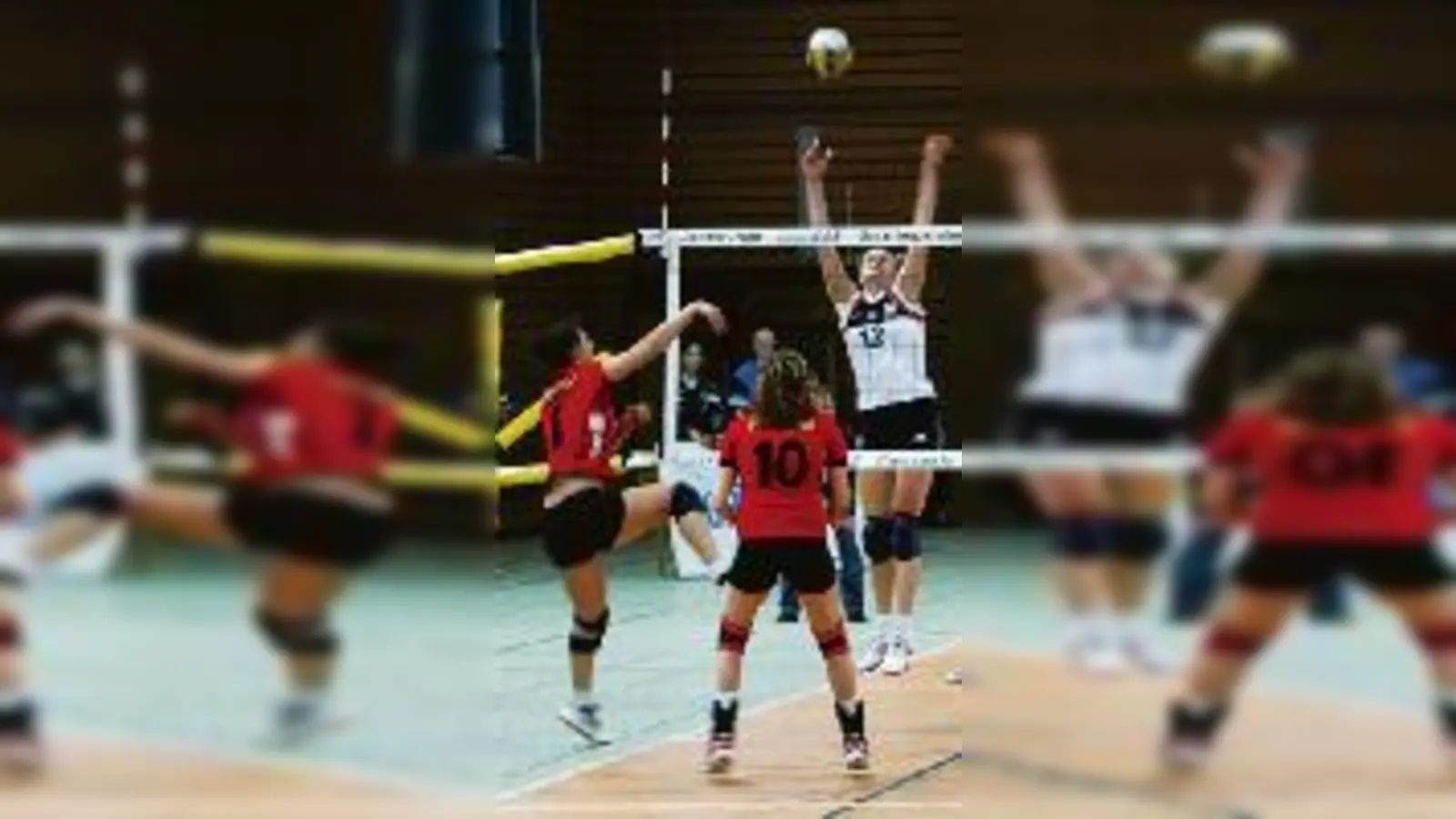 Sportlich erstklassig, aber sie bleiben zweitklassig: Lohhofs Überfliegerinnen, um die hier im Block punktende Oksana Roppel, stehen seit Samstag als Meister der zweiten Bundesliga Süd fest.  (Foto: ba)