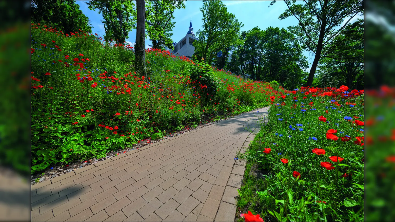 Naturnahe Gärten liegen im Trend. Für optisch ansprechende Wege durch die bienenfreundliche Pflanzenpracht empfehlen sich Pflastersteine wie Germania Antik von Kann. Die unregelmäßigen Kanten und die gealterten Oberflächen passen gut zum rustikalen Charme der Gartenanlage. (Foto: Kann/txn)