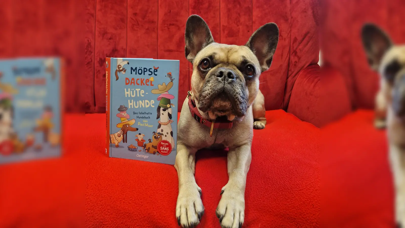 Spannenden Tiergeschichten lauschen können Kinder zusammen mit Hund Frieda in der Bücherei.  (Foto: Gemeindebücherei Vaterstetten)