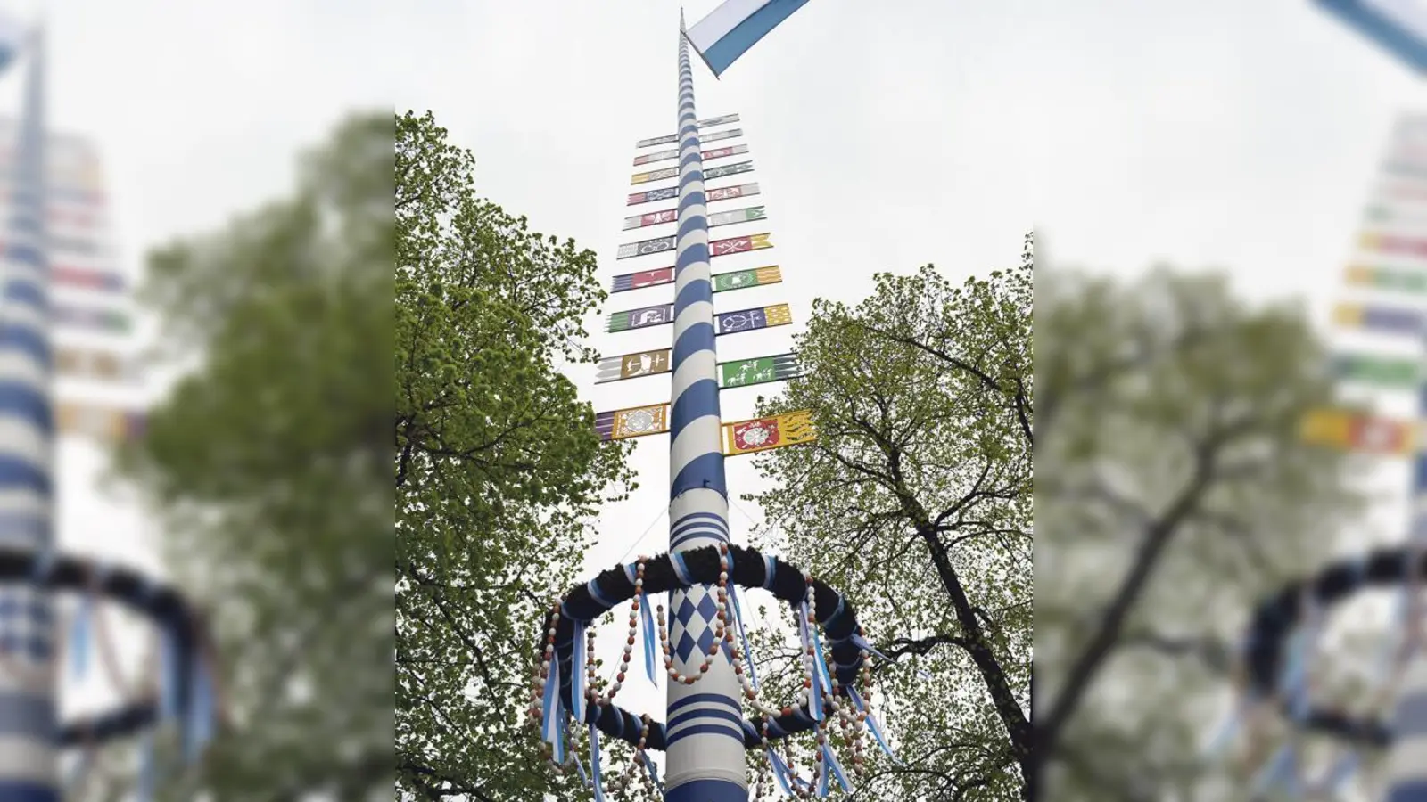 Die Freiwillige Feuerwehr Vaterstetten legt am Samstag den Vaterstettener Maibaum um.	  (Foto: VA)