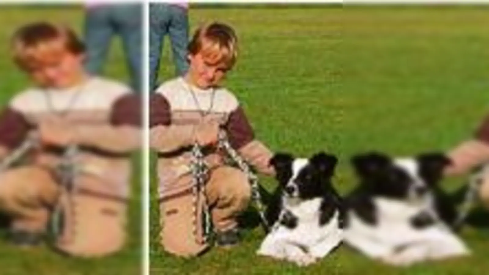 Wenn die Angst der Freundschaft weicht: Beim <br><br>Kind-und-Hund-Kurs der AG »Mia san Hund!« lernen Kinder den Umgang mit den Vierbeinern.	  (Foto: VA)
