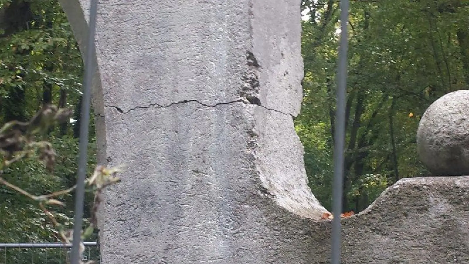 Bild 2 (Foto: Demmel)