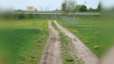 Beim späteren Landschaftspark müssen die Architekten auf eine geschickte Wegeführung achten. (Foto: pst)