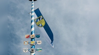 Der Feldkirchner Maibaum steht seit 2015, am 19. Oktober wird er umgelegt. (Foto: VA)