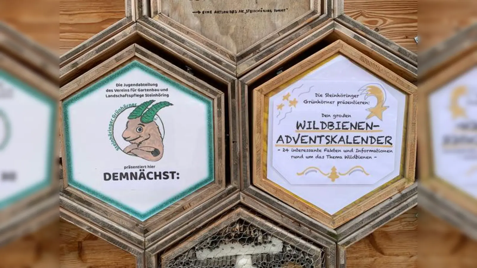 Steinhöringer Grünhörner haben einen Wildbienenadventskalender aufgestellt. (Foto: VA)