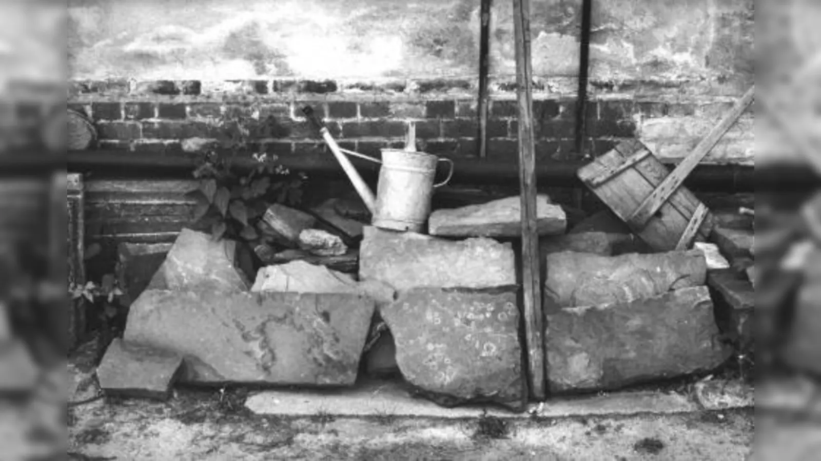 Ungewöhnliche Motive zeigen die Bilder von Dorothea Loftus. (Foto: Loftus)