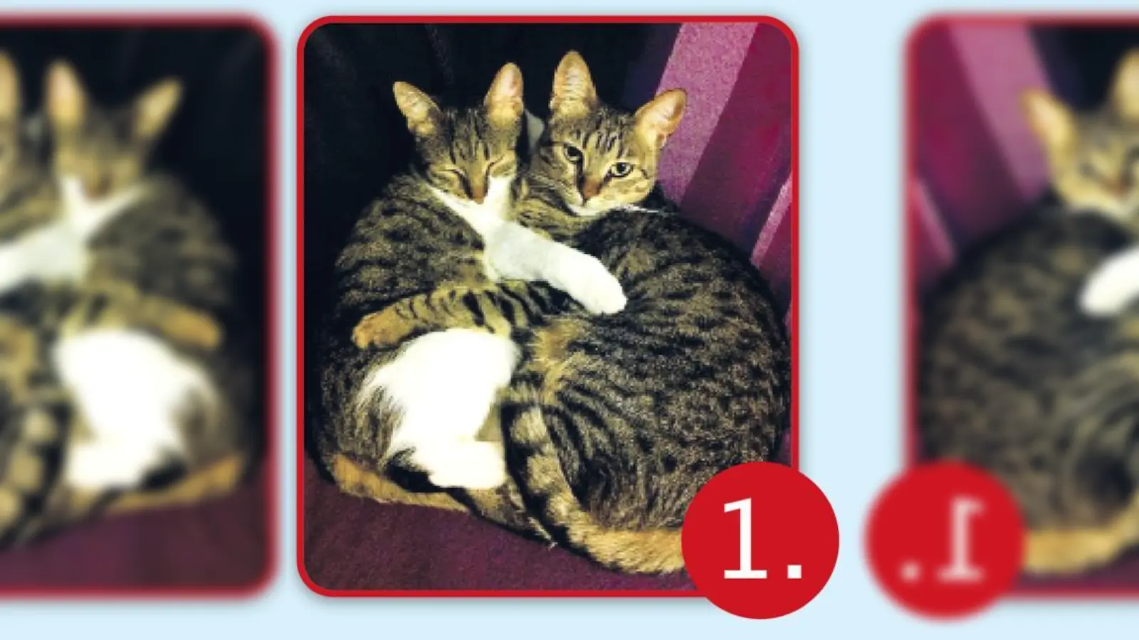 Lilly und Kenny.  (Foto: Privat)