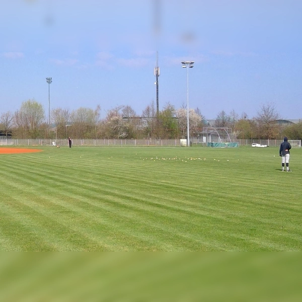 Im Sport- und Freizeitpark Eglfing ist regelmäßig die Baseball-Bundesliga zu Gast. (Archivbild: bas)