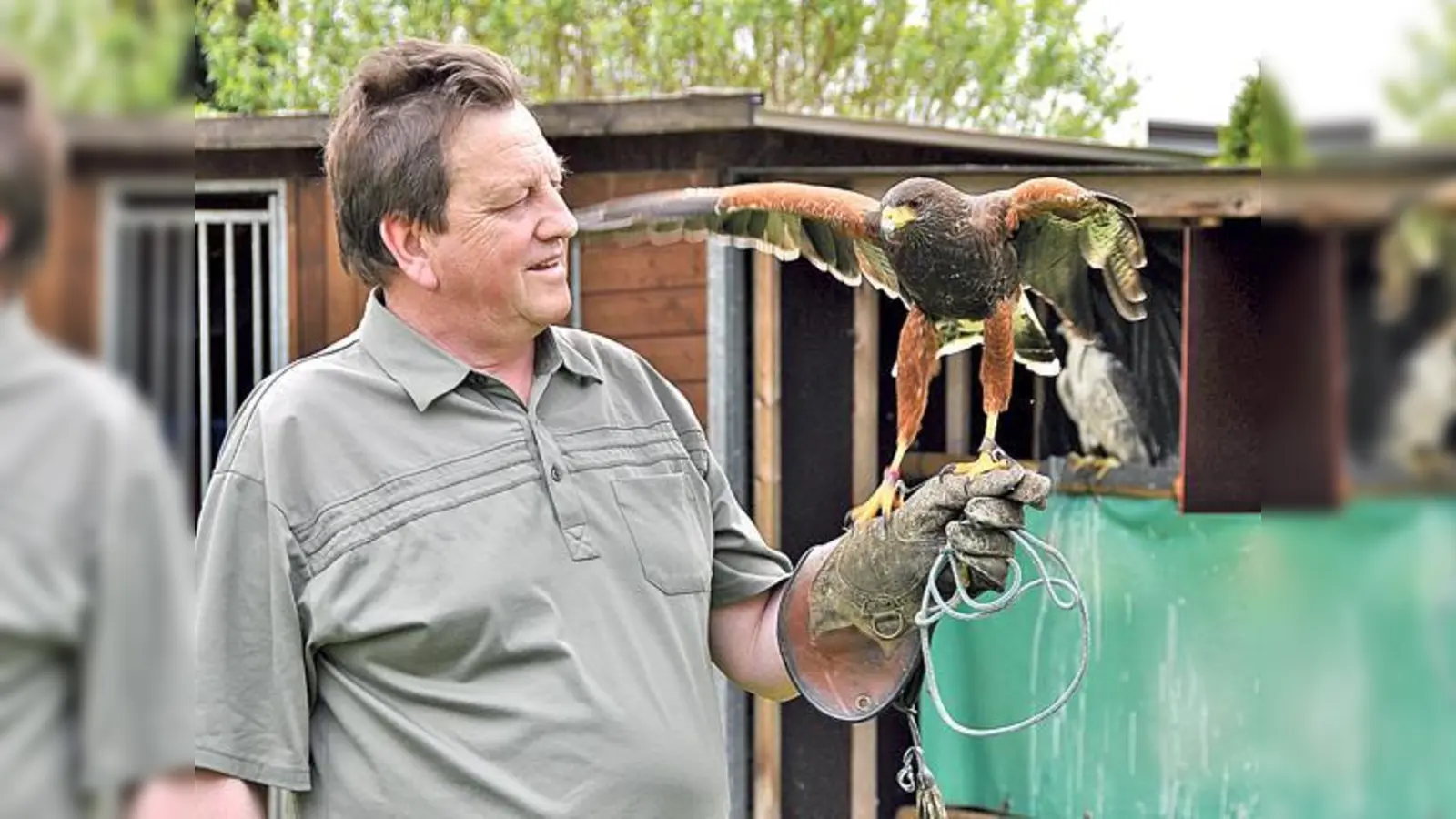 Der Falkner Wolfgang Schreyer mit seinem Wüsten-Bussard »Burli«, den er auf Kaninchen, jedoch nicht auf Tauben loslässt.	 (Foto: Sybille Föll)