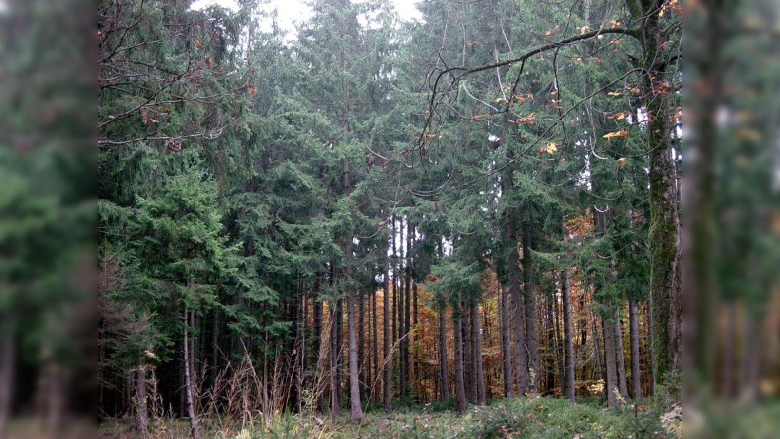 Ausflug-f-r-Senioren-ins-Museum