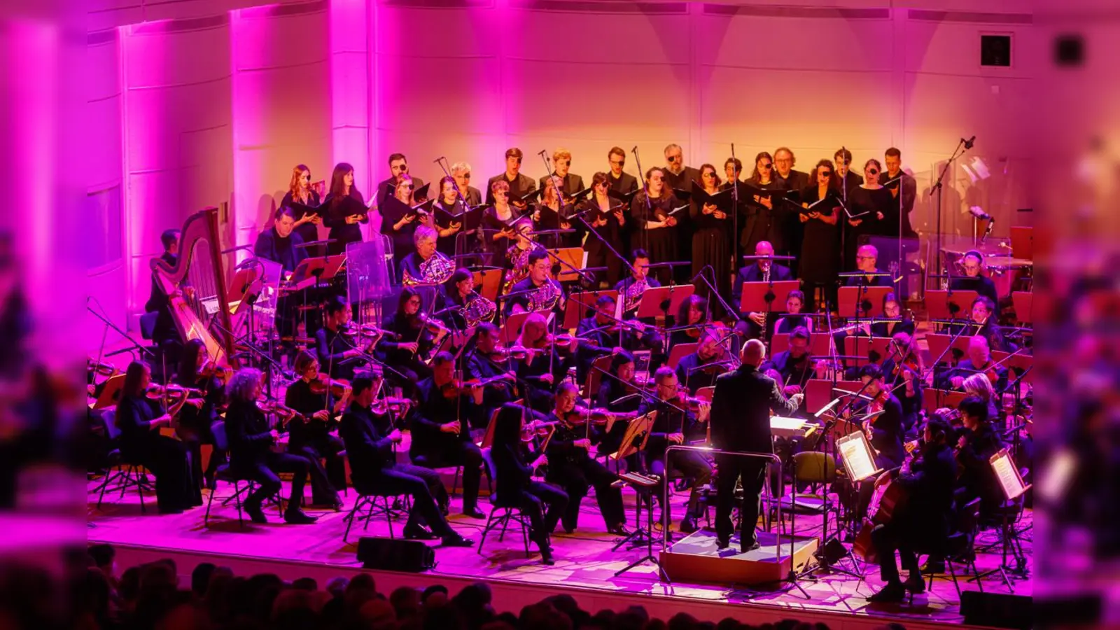 Über 100 Mitwirkende spielen Musik aus den Filmen Star Wars, Fluch der Karibik, Harry Potter, Indiana Jones, u.v.m. (Foto: Gerrit Cramer)