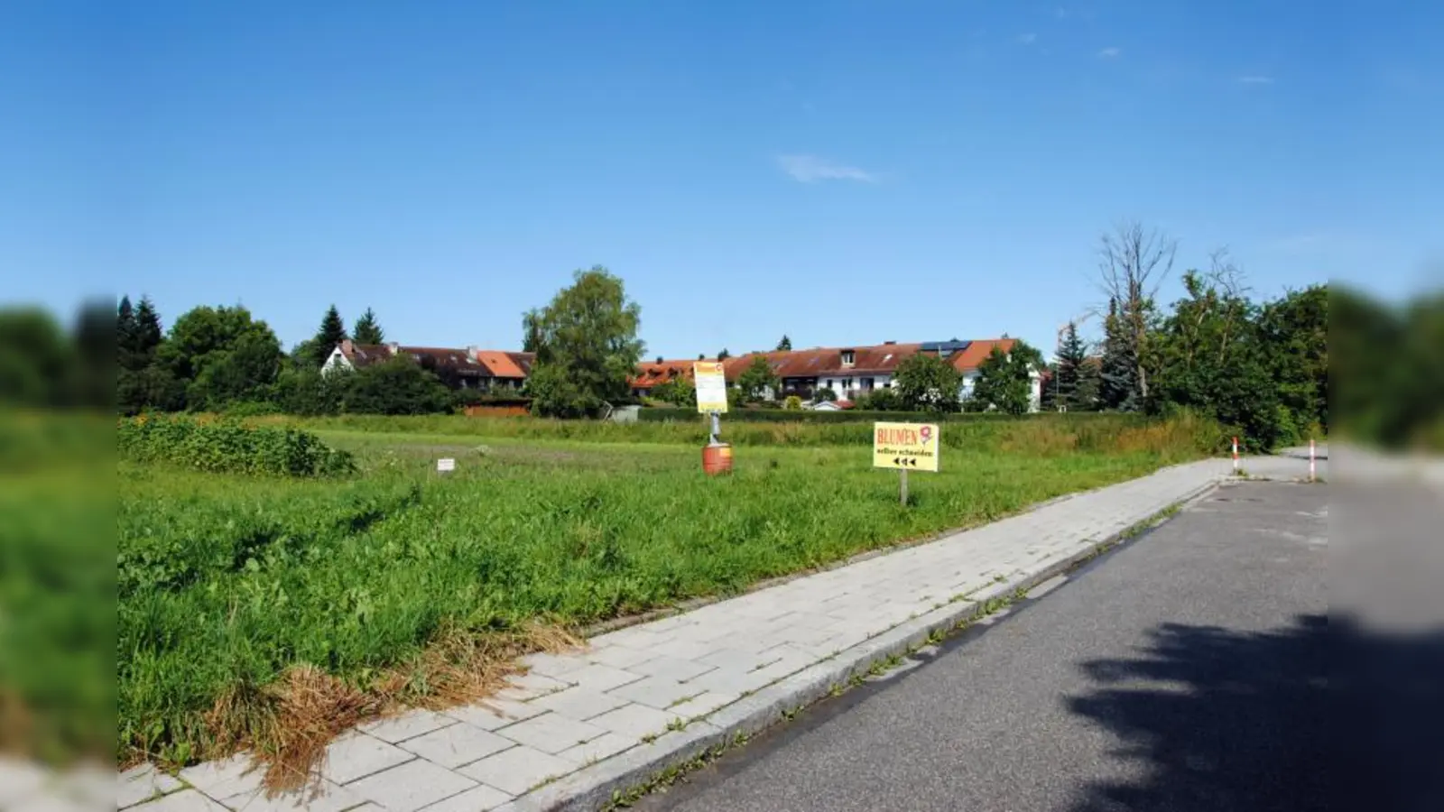 Noch kann man auf der Wiese an der Elisabeth-Jost-Straße Blumen selber schneiden, bald soll hier aber Baubeginn für das „Betreute Wohnen“ sein. (Foto: Eva Schraft)