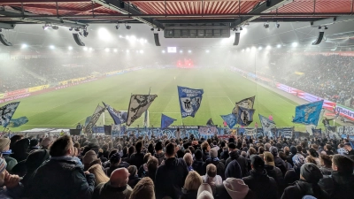 Enttäuscht im Nebel: Löwenanhang in Regensburg. (Foto: M. Forster)