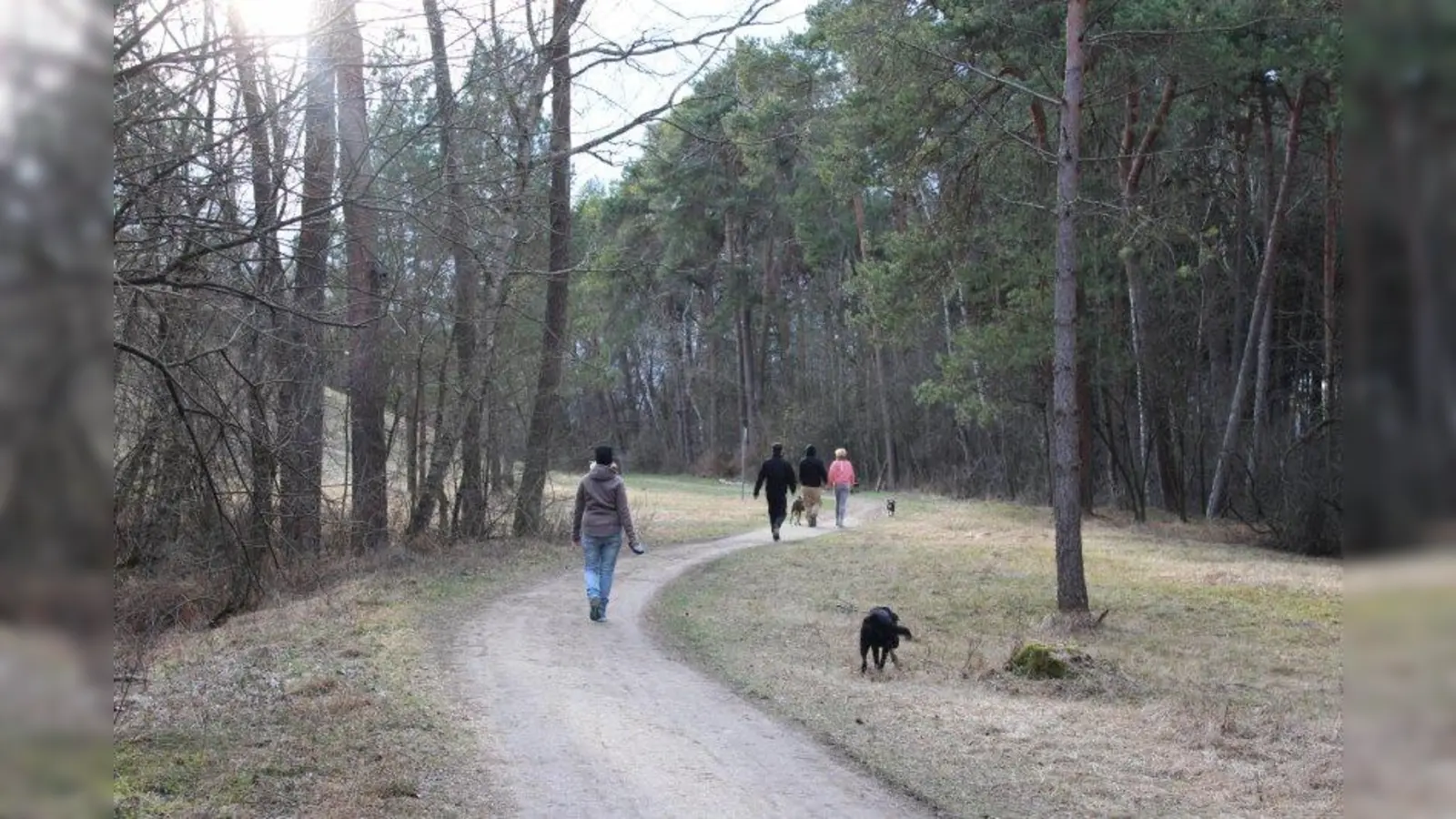 Im Schwarzhölzl müssen Hunde das gesamte Jahr über angeleint geführt werden; von Mitte März bis Mitte Juli gilt nun auch in den Kernzonen des Krenmoos Leinenpflicht. (Foto: sb)