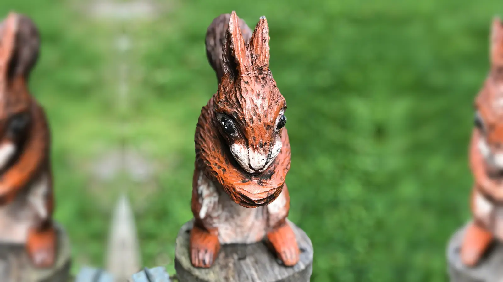 Im Walderlebniszentrum gibt es jede Menge Spannendes zu entdecken. An den Sonntagen im Oktober werden noch Führungen geboten. (Foto: hw)