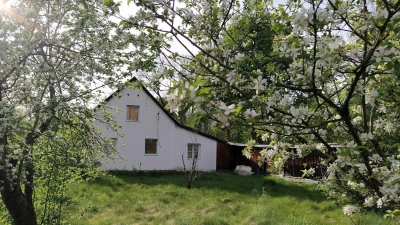 Der Eggarten im Münchner Norden ist eine über 100 Jahre alte Gartensiedlung mit altem Baumbestand.  (Foto: DSD)