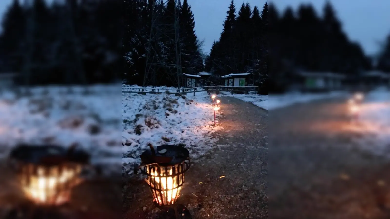 Eine Feuerstelle und Wildbeobachtung gibt es beim „Wilden Advent im Forstenrieder Park”. (Foto: Freunde des Forstenrieder Parks e.V.)