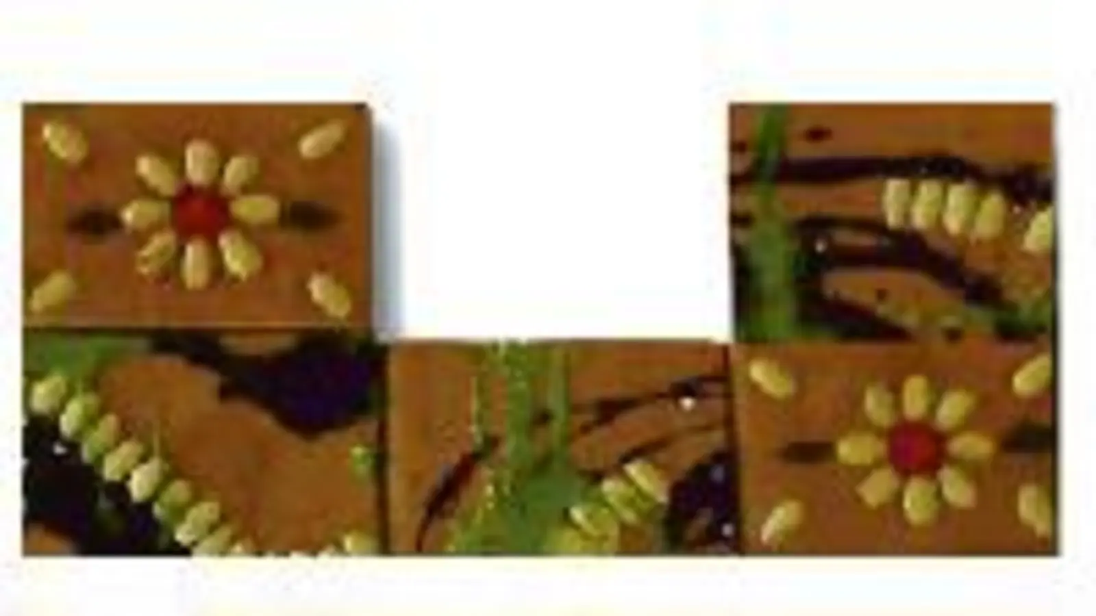 »Lila-grün + Honigkuchen«  wenn man die Ausstellung besucht, ergibt der Titel auch einen Sinn.	  (Bild: VA)