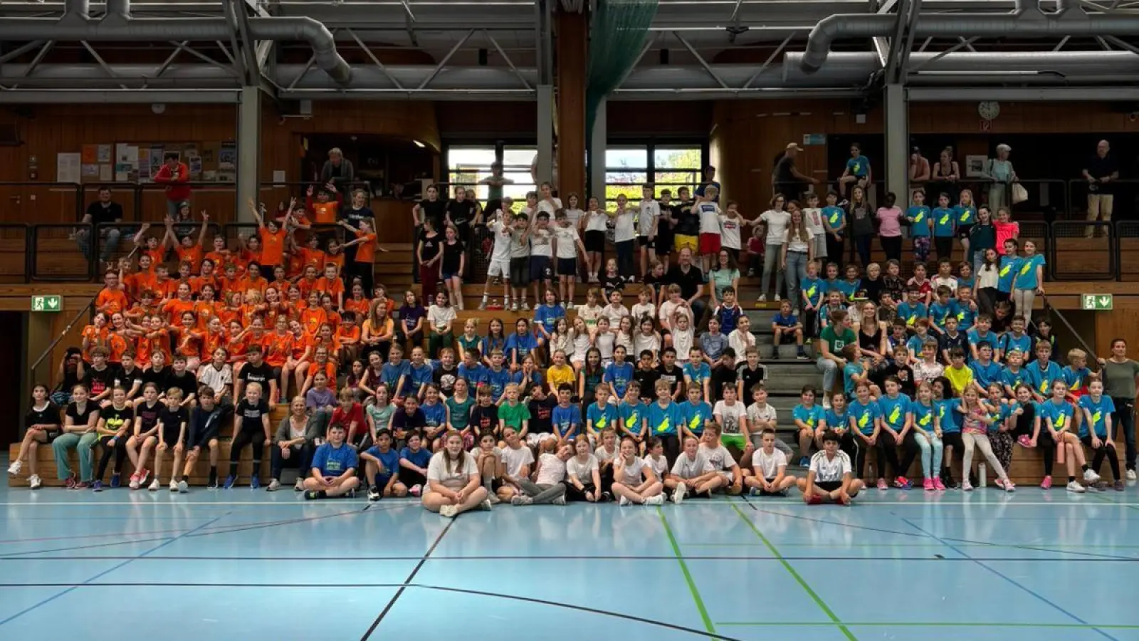 Fast 350 Viertklässler nahmen beim Schulhandball Cup teil. (Foto: TSV Herrsching)