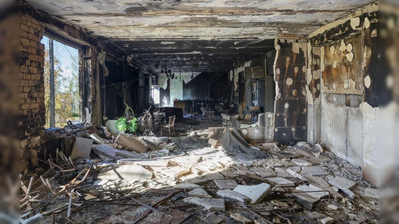 Aus zerstörten öffentlichen Gebäuden „rettete” die Künstlerin Zhanna Kadyrova Zimmerpflanzen als stumme Überlebende des Krieges. Refugees, 2023 | ©Courtesy the artist and GALLERIA CONTINUA (Foto: Zhanna Kadyrova)