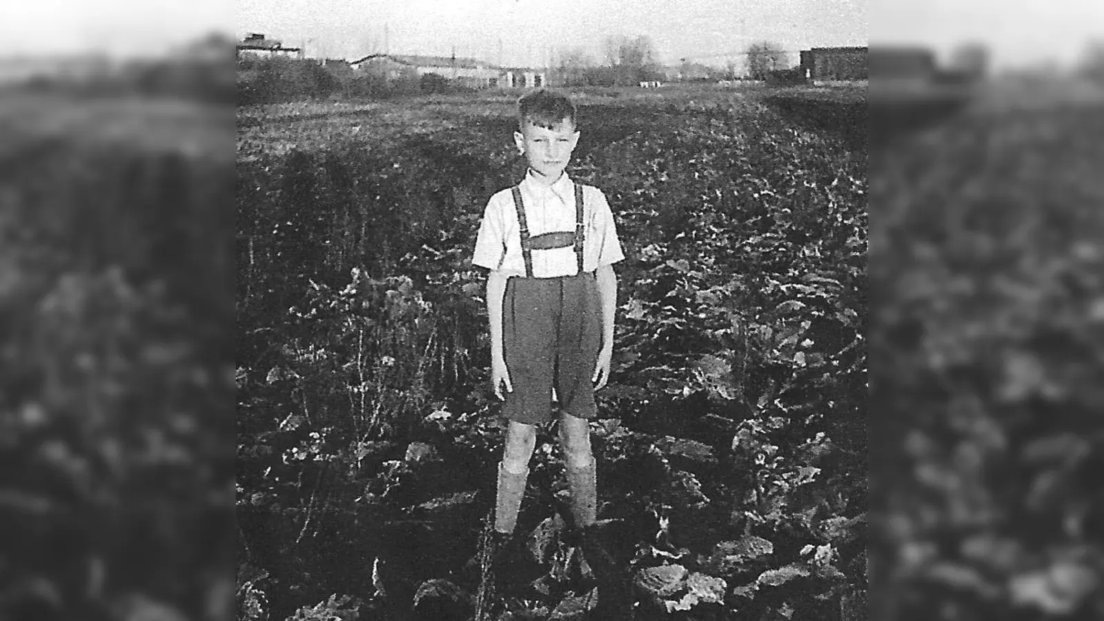 Krautgarten (Foto: Essig. privat)