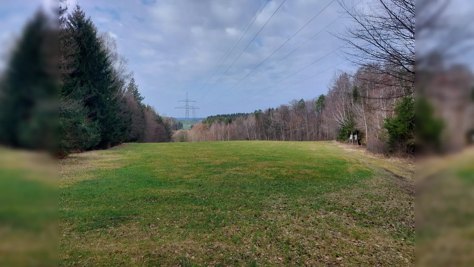 Einen Spaziergang entlang des geplanten Brenner Nordzulaufs wird am Samstag, 2. September, auf Grafinger Flur geboten.  (Foto: Baumgartner)