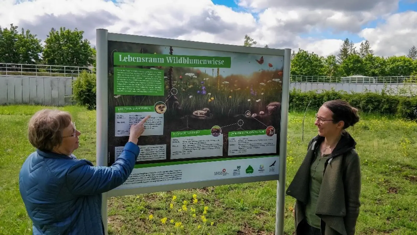 Dr. Juliane Diller, stellvertretende Direktorin der SNSB-Zoologischen Staatssammlung München (links) mit Kristin Böhm, Koordinatorin des Projektes “Wildbienen – hochbedroht und unverzichtbar” der Deutschen Wildtier Stiftung, vor der neu angelegten Wildblumenwiese auf dem Gelände der ZSM. (Foto: ZSM)