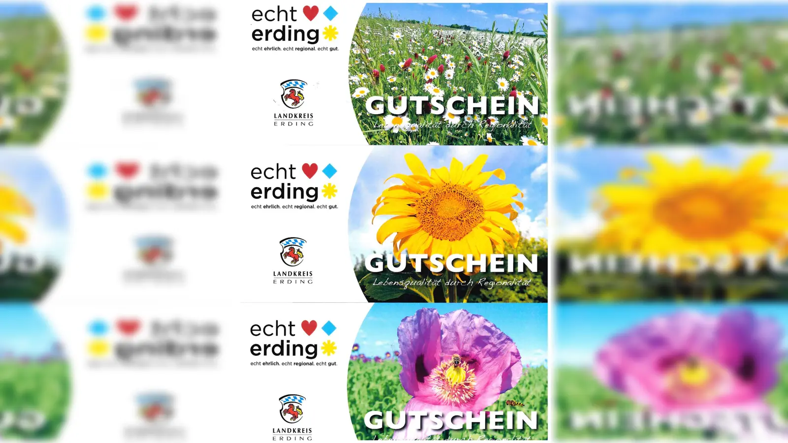 Mit den neuen „echt erding” Gutscheinen anderen eine Freude machen. (Foto: LRA Erding)