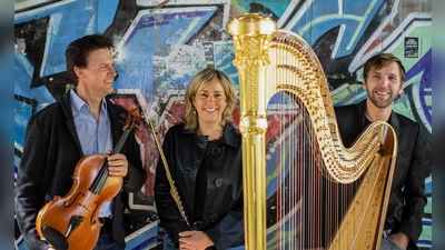 Ungewöhnliche Besetzung mit Viola, Flöte und Harfe: das Trio Charolca. (Foto: Frank Blödhorn)