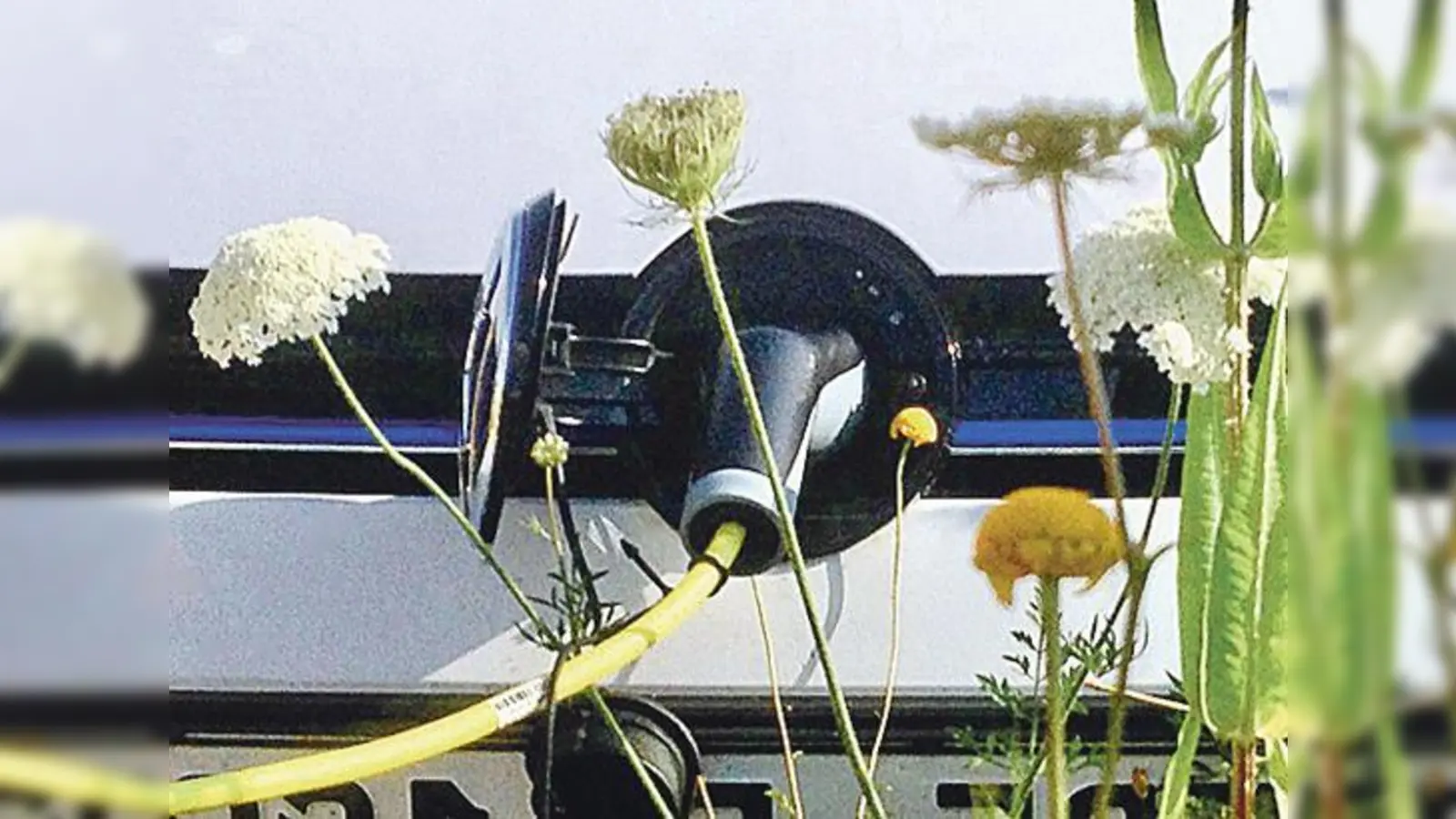 Der Info-Tag zur E-Mobilität findet am 15. September in Ebersberg statt. Der Eintritt ist kostenfrei. 	 (Foto: VA)