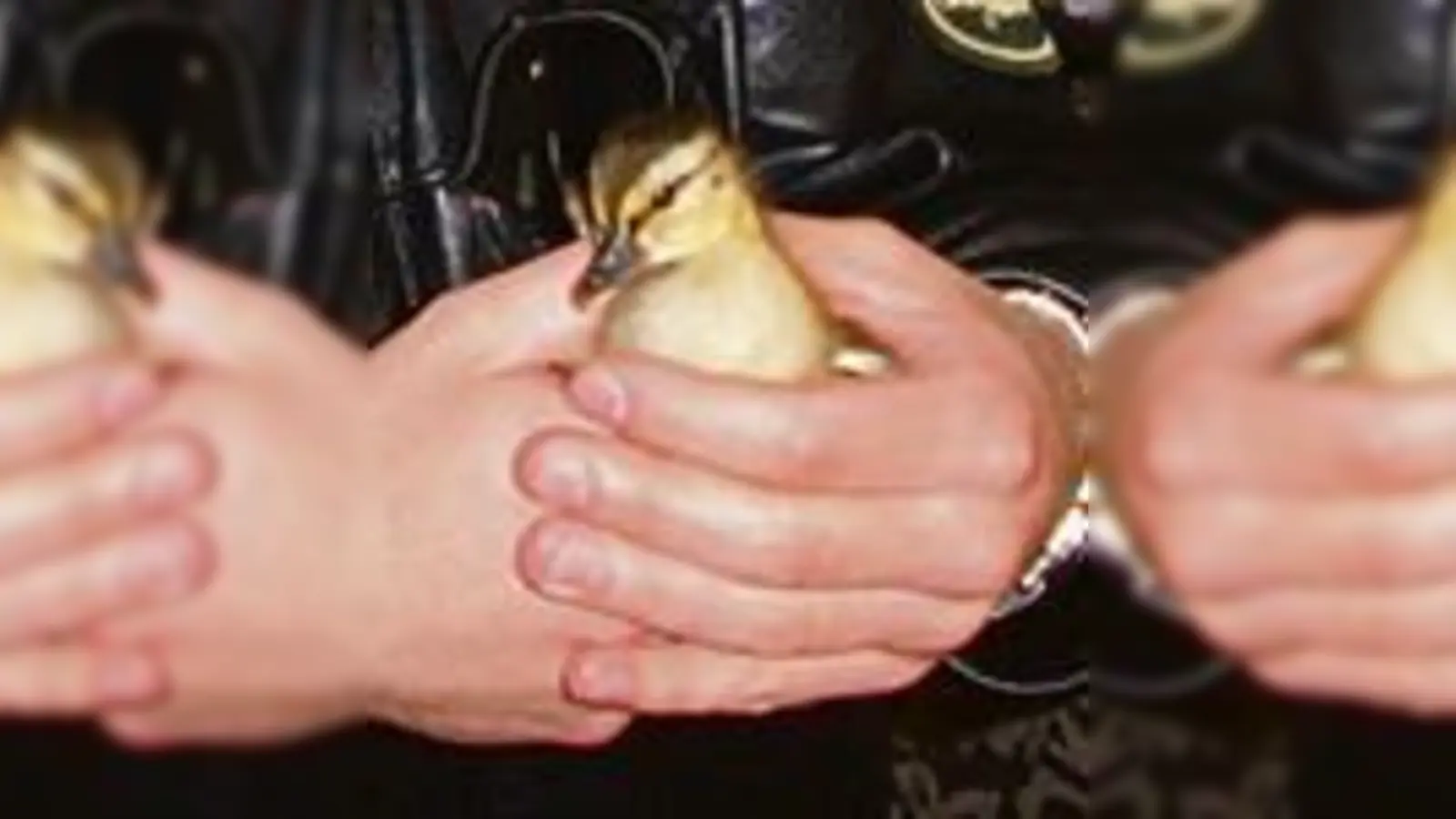 Auch für kleine »Biberl« ist die Polizei anscheinend der richtige Freund und Helfer.  (Foto: Polizei)