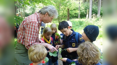 Viel erlebt, viel gelernt: Die Pfadfinder bestimmen beim Waldtag Blätter. (Foto: Pfadis)