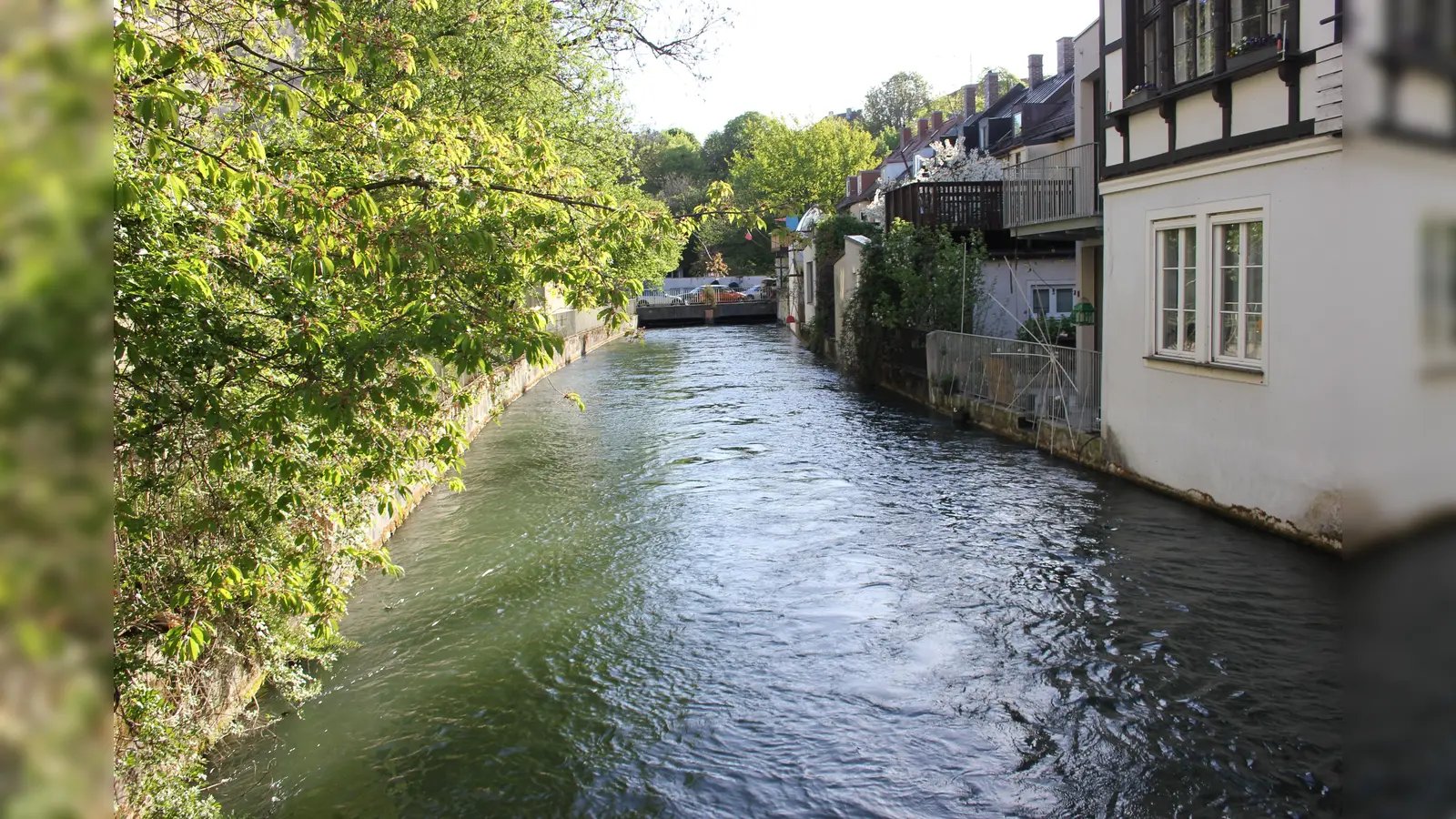 Der Auer Mühlbach, hier in der Mondstraße, gehört zu den Gewässern, die im Herbst „ausgekehrt” werden.  (Foto: bas)