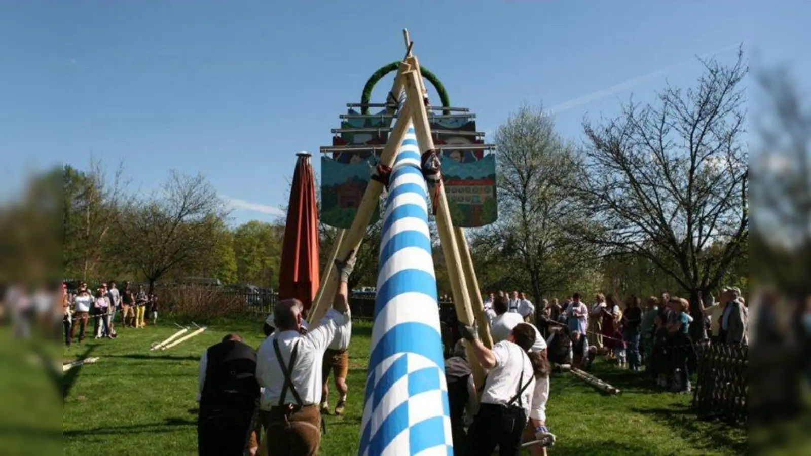 Stück für Stück hoben die Männer den Maibaum an. (Foto: pi)