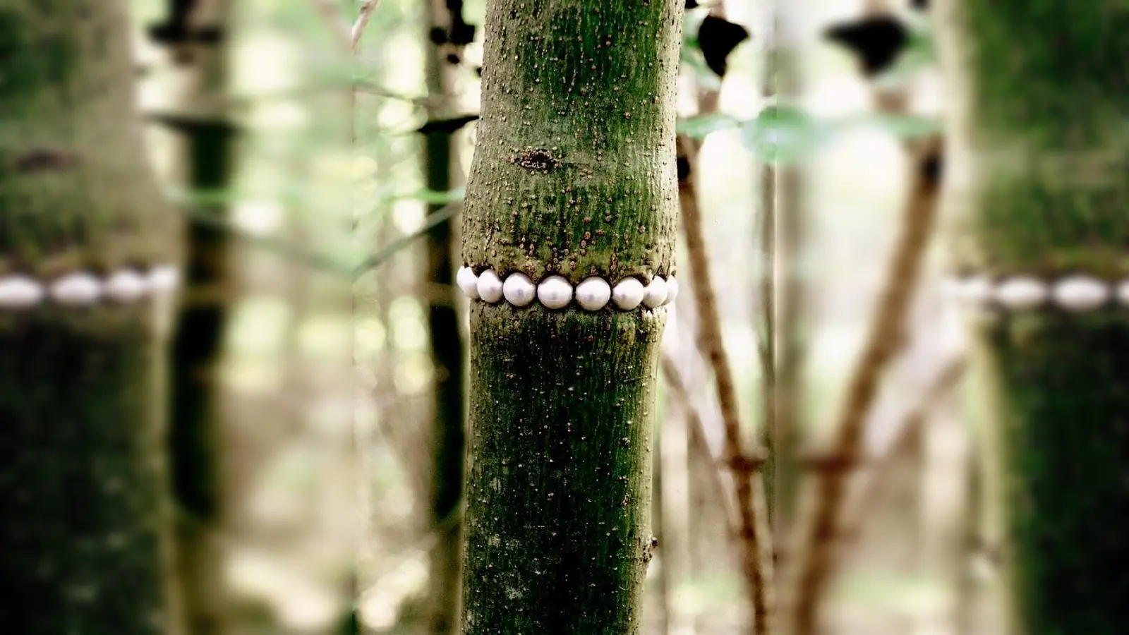 Perlenkette für einen Baum von Gisbert Stach.	 (Foto: VA)