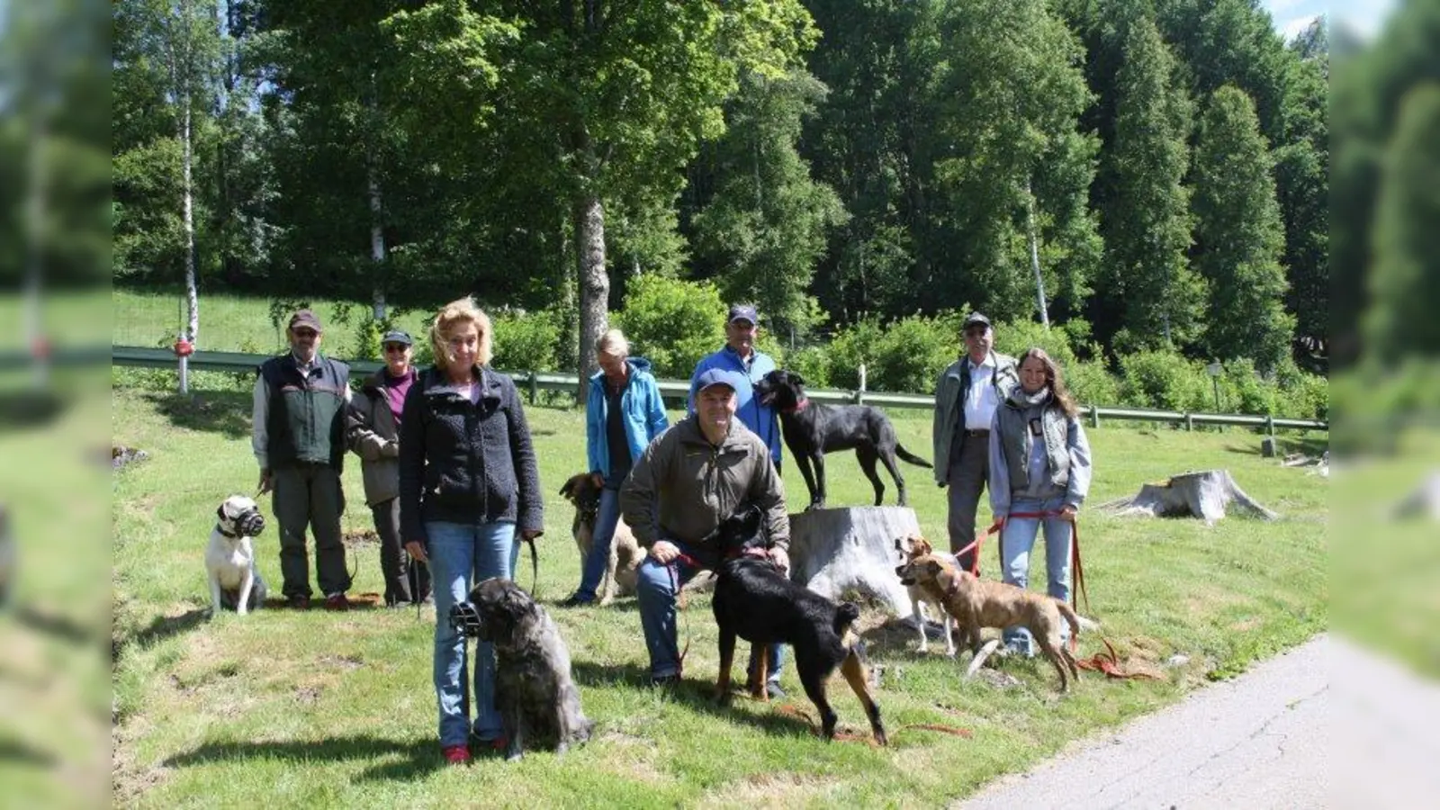 Für viele ein Happy End: Die Almprojekt-Gruppe verbrachte höchst emotionale Tage im Schwarzwald. (Foto: Bryndis Johannsdottir)