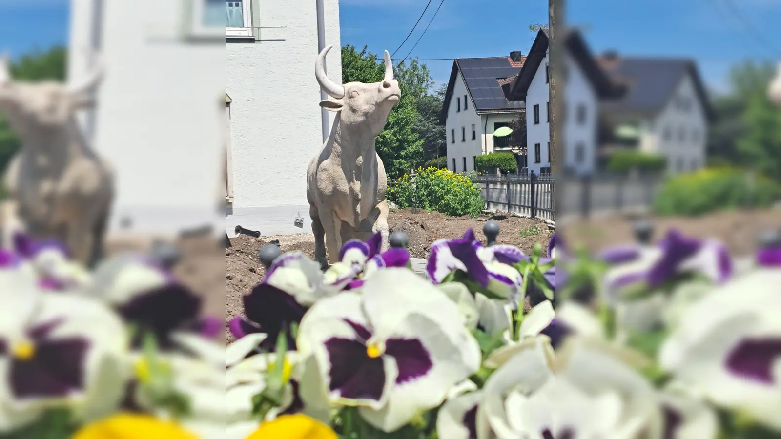 Der Stier im Vorgarten eines landwirtschaftlichen Anwesens erinnert an die Vergangenheit Feldmochings mit Stierzucht und Mastviehhaltung.  (Foto: © Riadastoana, Monika Nitschke)