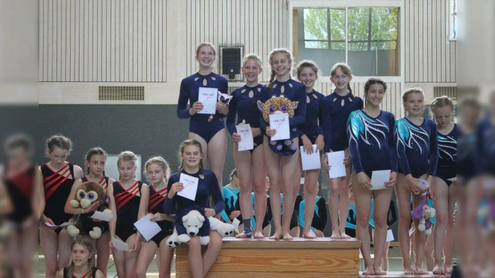 Den Aufstieg in die erste Liga haben die Turnerinnen des TSV Gilching-Argelsried perfekt gemacht - und das mehr als verdient. (Foto: TSV)