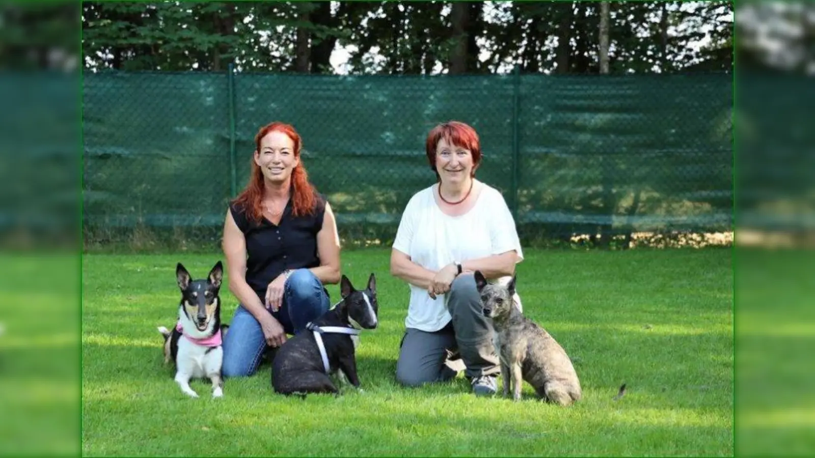 Es hat gezündet: Gemeinsam mit der Lehrerin Ursula Stein (links mit Aimee) will Hildegard Stepberger (mit Sunny und Marie) künftig weitere Schulhunde ausbilden. (Foto: Stepberger)