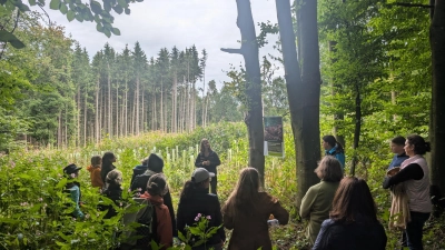 Die Teilnehmerinnen diskutierten unter anderem über die Pflege junger Fichtenbestände. (Foto: Judith Clever, StMELF)