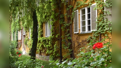 Die Borstei gilt als Schmuckstück des Münchner Nordens. (Foto: Daniel Mielcarek)