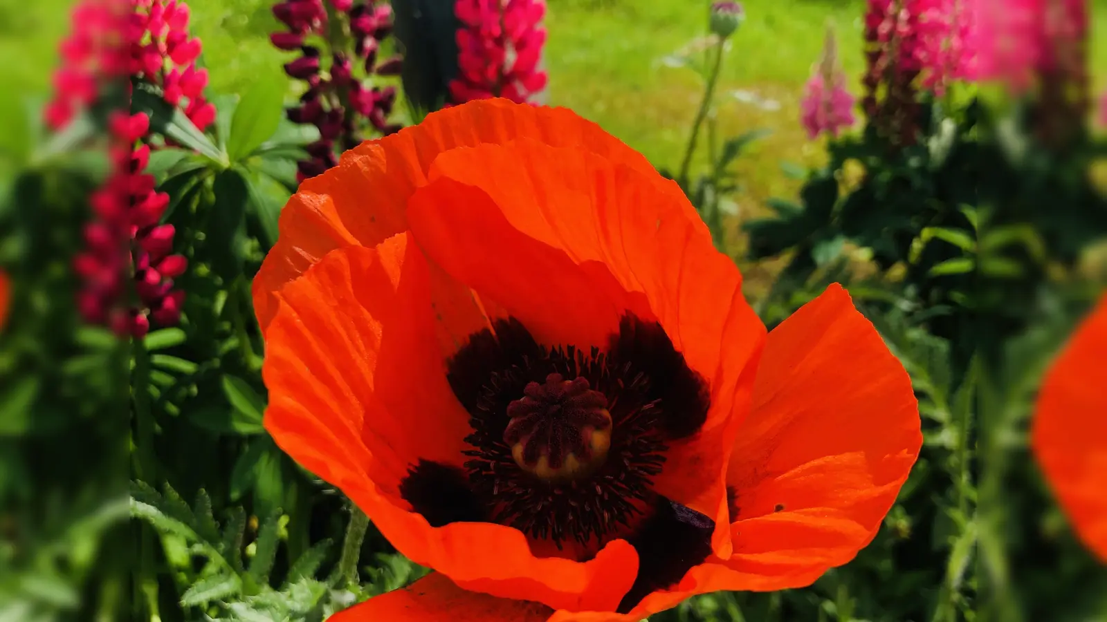 Grüne Paradiese für Mensch &amp; Tier findet man am Tag der offenen Gartentür im Landkreis München und Miesbach. (F: hw)