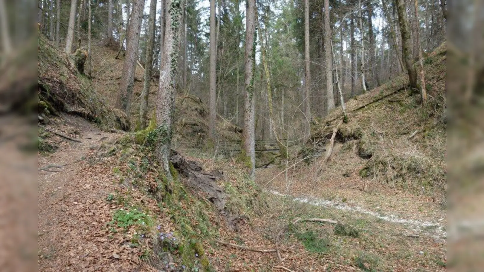 Die Waldschmidtschlucht ist sehr ruhig und idyllisch. (Foto: eis)