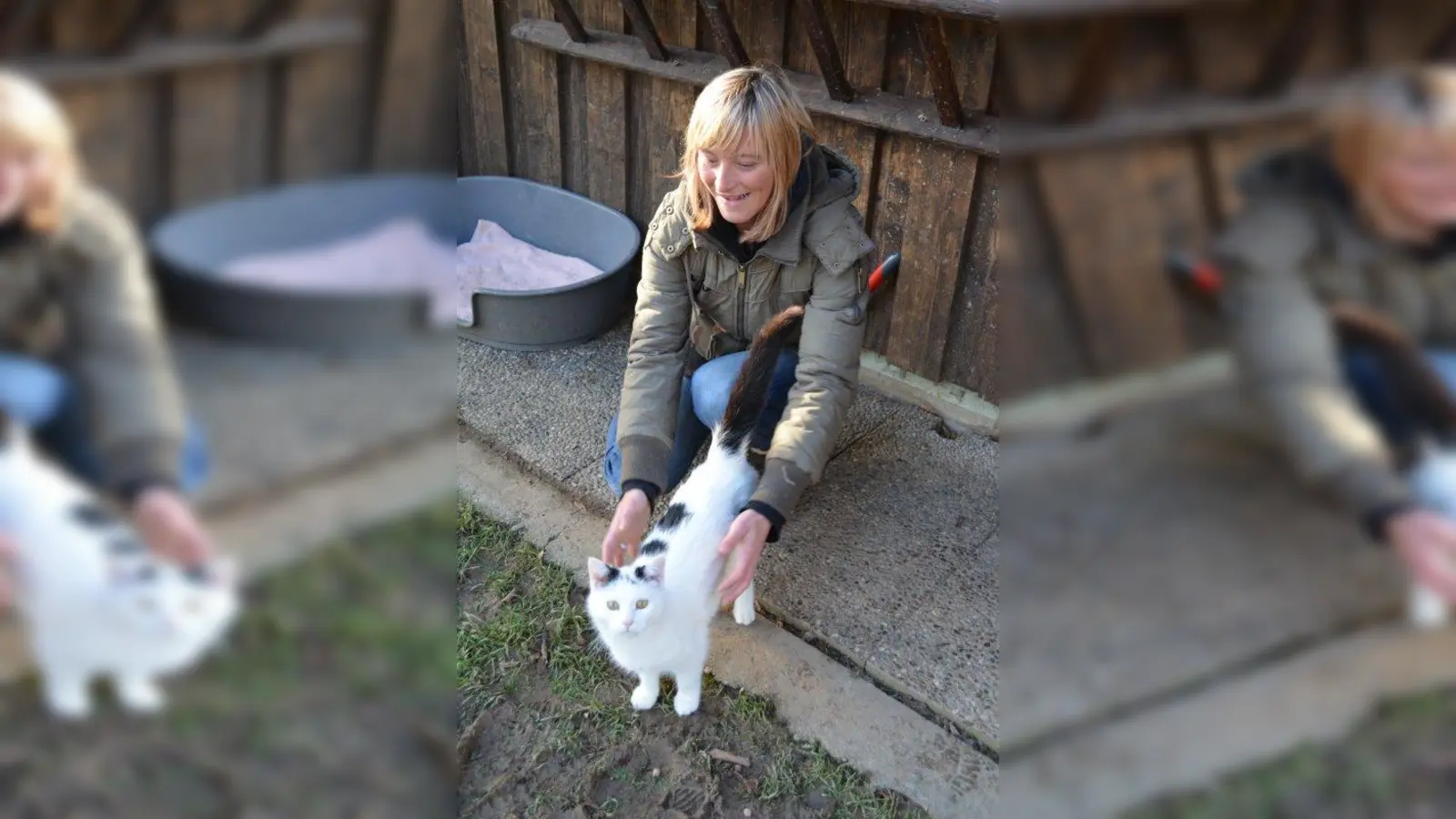 Tierpflegerin Alina Lang-Vogel freut sich über Erfolgserlebnisse: &amp;quot;Einige wilde Katzen werden bei uns auch handzahm.&amp;quot; (Foto: eis)