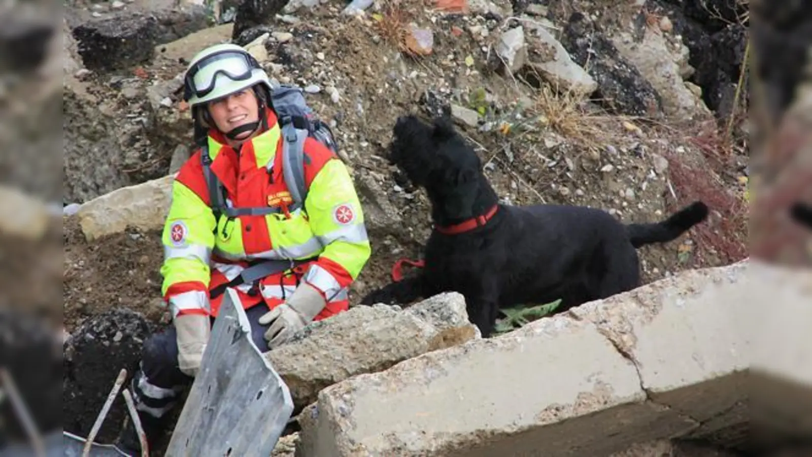 Rettungshunde sind darauf trainiert, große Gebiete nach Vermissten und Verunglückten abzusuchen.  (Foto: Johanniter)