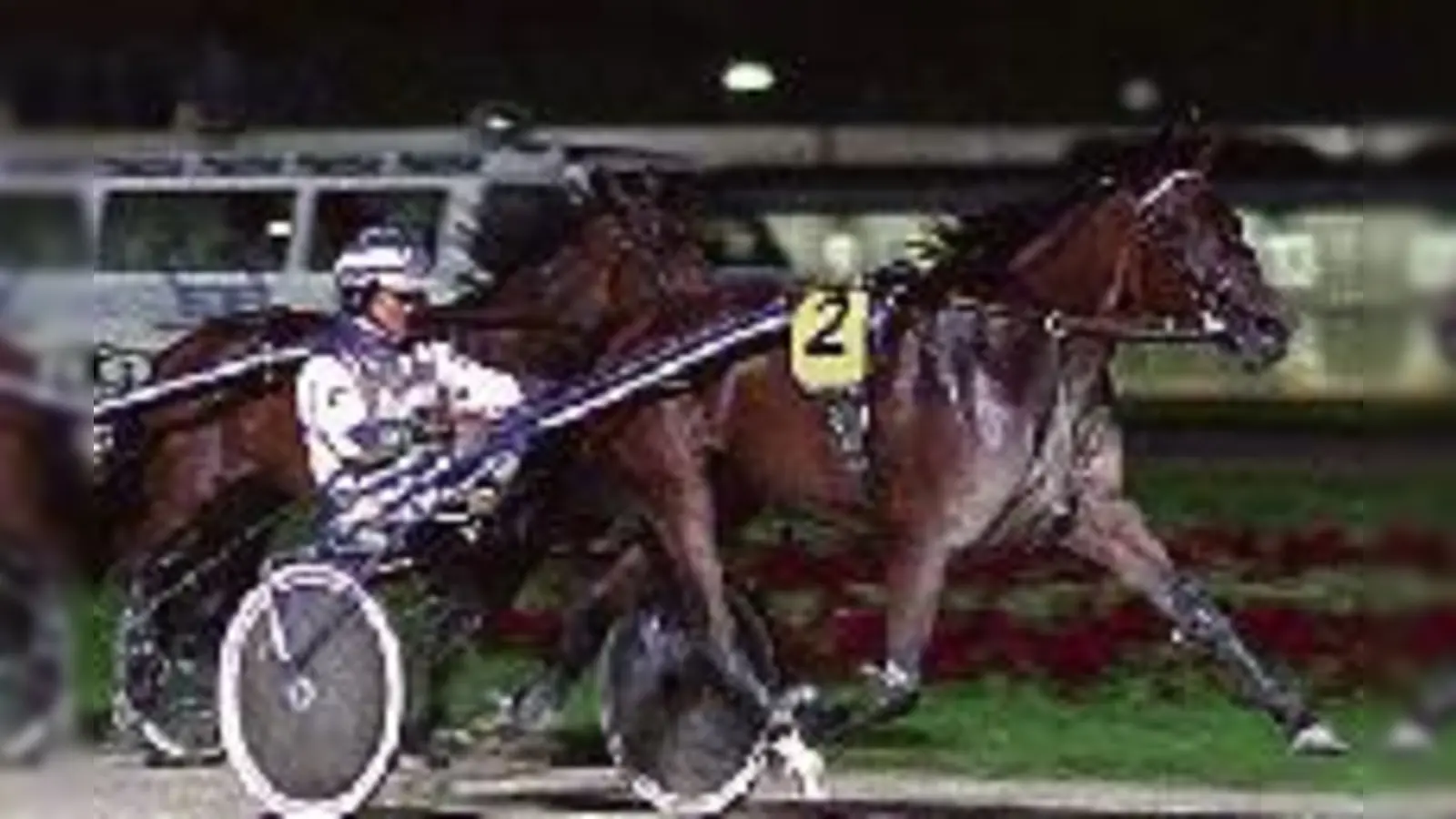 Josef Franzl zog beim  Rennen in Daglfing mit seiner »Indira Comtess« allen davon.  (Foto: VA)