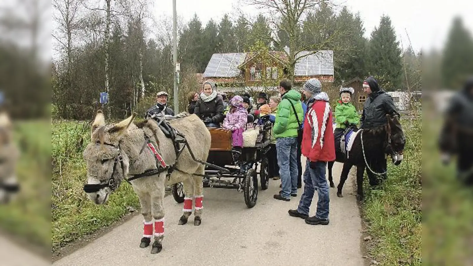 Abseits vom Trubel: Die Eselwanderung sorgte für Kurzweil bei Groß und Klein. 	 (Foto: privat)
