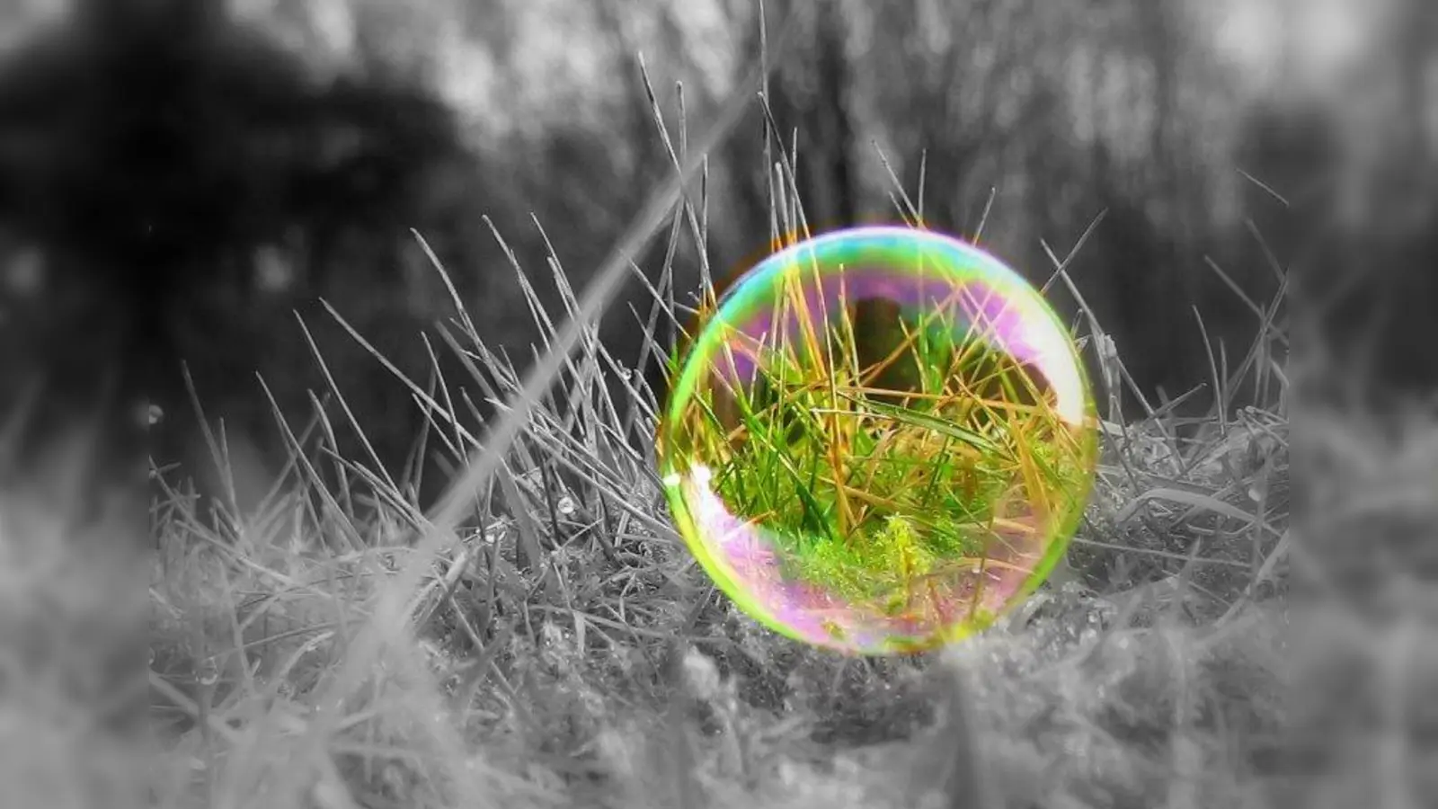 So wünsch ich mir die Zukunft. Damit Zukunftsträume nicht wie Seifenblasen zerplatzen, soll ein Kreativwettbewerb des Landkreisamtes Kinder und Jugendliche für Umwelt- und Klimaschutz sensibilisieren. (Foto: Sigrif Hang / pixelio.de)