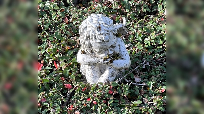 Der Hospizkreis Ottobrunn lässt Kranke und Trauernde mit ihren Sorgen nicht allein, sondern steht ihnen beiseite. (F: hw)